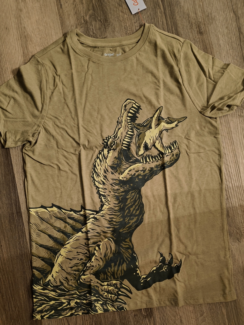 Kids's Olive Graphic T-Shirt with Dinosaur Print XL (14) Husky